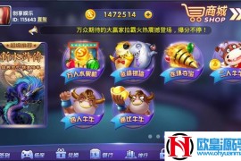 龙珠棋牌电玩城完整运营级组件 22款棋牌游戏 带注册机