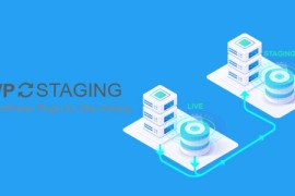 【WordPress插件】WP Staging Pro v4.2.10 汉化版 网站复制克隆插件