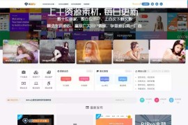 Ripro子主题美化二开版v6.2 功能已集成后台