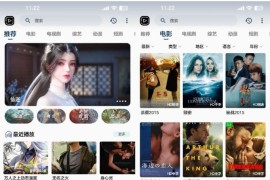 SKAPP SK影视反编译详细教程+源码 反编译工具推荐