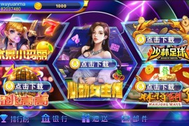 网狐系列洛圣都电玩城游戏组件 双端齐全带热更新