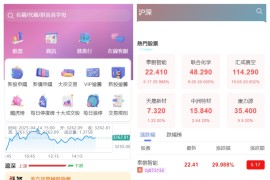 香港股票源码/大宗交易与新股申购系统源码/视频搭建教程