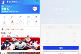 全新UI影视投资/日语投资系统/优惠加息送卷/虚拟币充值/在线客服