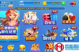 火萤棋牌源码可二次开发全套源码非组件 基于网狐荣耀二次开发版本 服务端+网站端+数据库+手机双端
