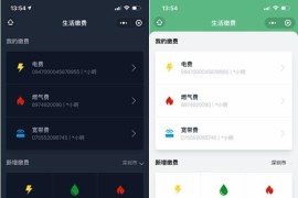 新仿微信支付生活缴费小程序源码