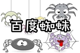 汇码屋汇总百度蜘蛛IP段归类：区分优质蜘蛛和垃圾蜘蛛