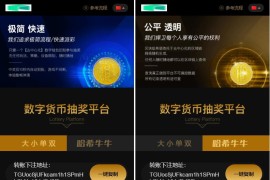 开源版哈希竞猜2套前端模板带后台+详细教程、喜欢的可以研究研究