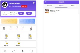 修复版 悬赏算命测算源码 修复补了点后台CSS和JS文件