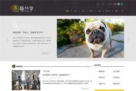 Discuz模板奇趣百科源码-DZ奇闻趣事分享主题商业完整GBK版
