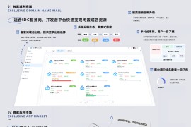 派小星DNS二级域名分发V2.0重构版 代码重构，性能升级