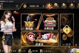 最新海盗王 微星二开新版UI+排行榜+全民代理+双端APP+完整数据库