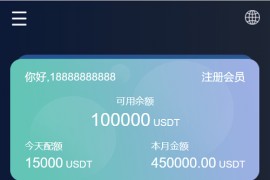 海外6国全新仿的假盘套路盘/虚拟币套路盘源码