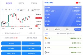 开源版海外竞猜平台/海外双语言竞猜系统/USDT充值/虚拟币游戏平台