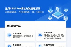 迅风DNS Pro二级域名分发V2.3.3系统源码