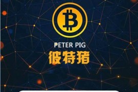 2020运营版华登彼特猪区块系统源码|猪猪传说区块链源码+详细教程