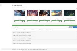 Thinkphp内核开发Lsky Pro兰空图床网站源码