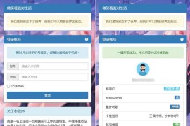 网易云音乐每日300首打卡刷等级源码