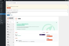 「亲测」WP Rocket破解版v3.8.7下载-缓存加速WordPress插件汉化版