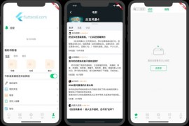 仿lutter豆瓣客户端源码 Awesome Flutter Project