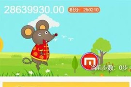 袋鼠投资理财源码 带计步慢跑/余额宝/早起打卡/积分商场和金融众筹功能