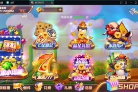 857梦港电玩城游戏平台二开制作 IOS安卓双端+数据完整