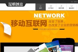简洁大气白色风格网络公司网站程序模板 支持WAP手机