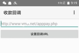 「亲测」APPPAY码支付源码-个人免签支付系统微信支付源码 带监控App