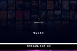 Artplayer视频播放器源码 支持弹幕功能与JSON数据模式解析
