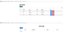迅风DNS二级域名分发程序开心版