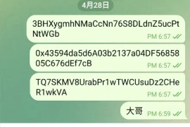 2025款高仿新版假飞机假TG源码/以及搭建教程