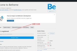 「亲测」Betheme主题v25.1.4激活版下载-多功能WordPress主题