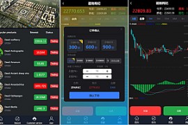 海外多语言/微交易系统/微盘源码/K线正常/投资理财源码