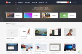 WordPress主题wpay虚拟资源付费下载模板破解版