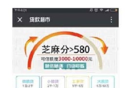 开源版网贷超市小程序源码 自带完美三级分销系统