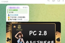 TG加拿大28机器人源码/Telegram机器人源码/独立管理后台/带视频搭建教程
