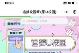 点微同城系统整站源码 带pc端与小程序端+49款插件