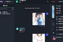 私人聊天程序 公共聊天室系统源码 ChatNet V1.11-V1.9 完整汉化版