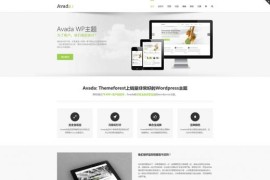 WordPress模板Avada主题破解去授权无限制V5.8.2版本下载