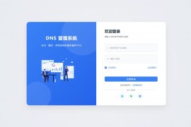 迅风DNS Pro二级域名分发全新V3.1.2系统源码