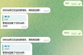 TG双向机器人源码/node.js源码/带部署教程
