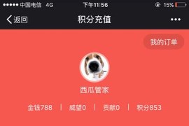 Discuz西瓜积分在线充值插件19.20170323(xigua_c)商业版