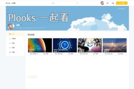 一起看视频源码 Plooks大型视频在线一起看网站源码