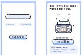 声音鉴定引流神器网站源码，轻松吸引用户关注