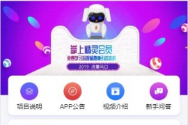 自动挂机赚钱-云点AI机器人紫版3.0,优享智能广告系统源码