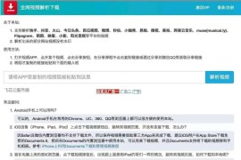 2024视频去水印源码 视频直接去水印 短视频去水印解析网站