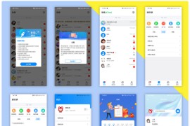 风车IM即时通讯聊天系统源码 聊天APP 附APP