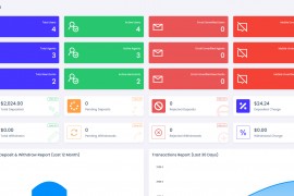 viserpay海外支付系统源码/国外支付接口 laravel后端框架