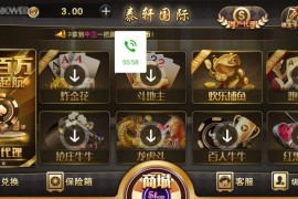 微星二开ui泰轩国际服务器打包完整数据 双端app正常
