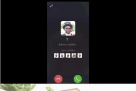 抖音黑人抬棺语音邀请通话html源码