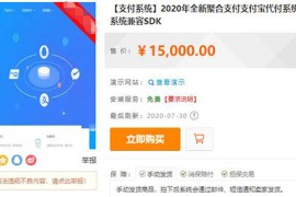 「亲测」2020年全新聚合支付/支付宝代付/第三方第四方支付系统兼容SDK+APP监控+详细的开发文档